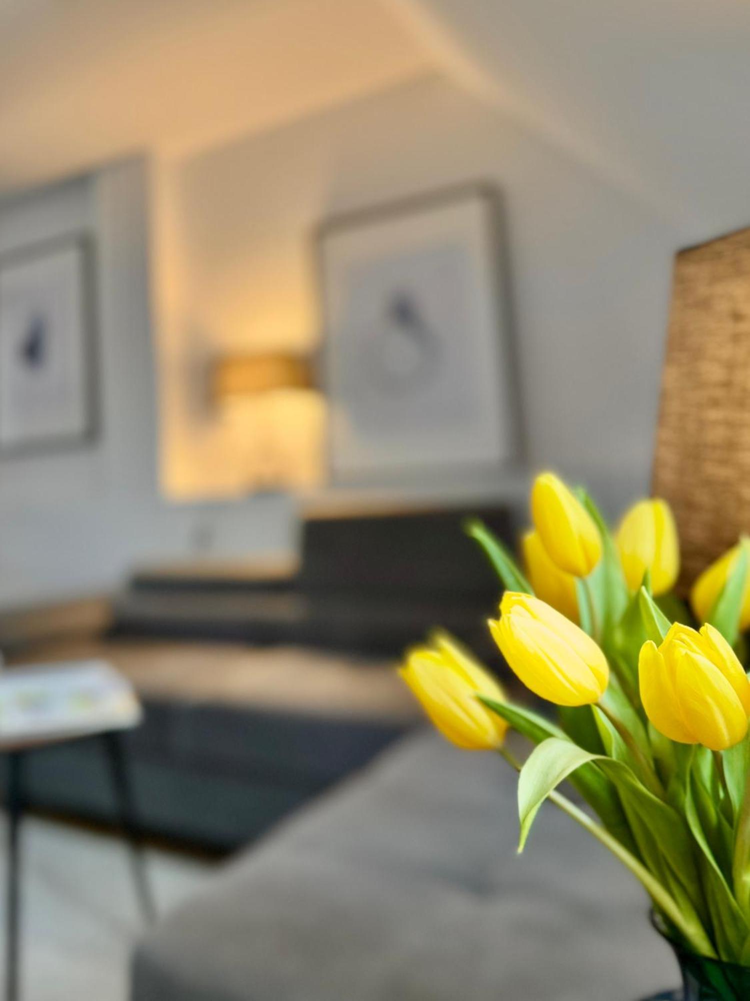 Apartament Pietrowy W Centrum Klodzka Z Darmowym Parkingiem Клодзко Екстериор снимка